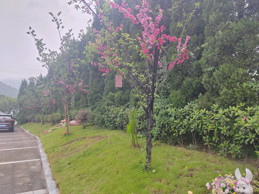 龙居山墓园——静谧之地的守望